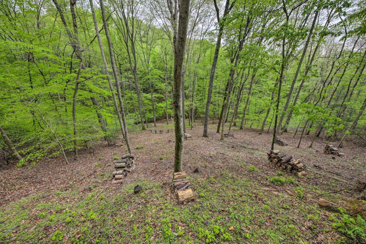 Peaceful Blue Ridge Cabin With Decks And Fire Pit Экстерьер фото
